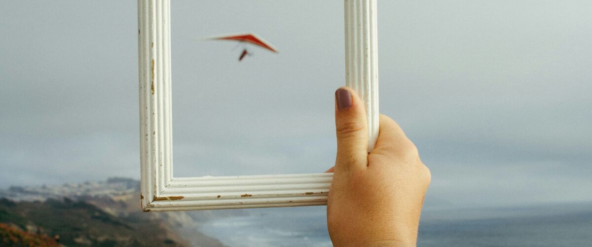 Pine Watt P F3 Bfa Lghqw Unsplash